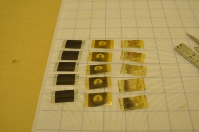 Nitrate film samples 