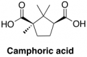 Camphoric Acid