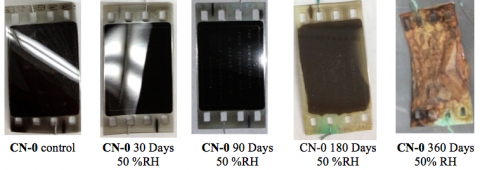 CN-0 aged under a 50%RH atmosphere at 60 °C displayed a different course of physical degradation